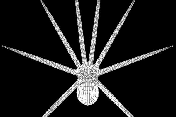 Kraken 26 at