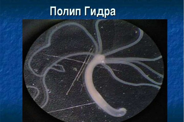 Вывести деньги с кракена