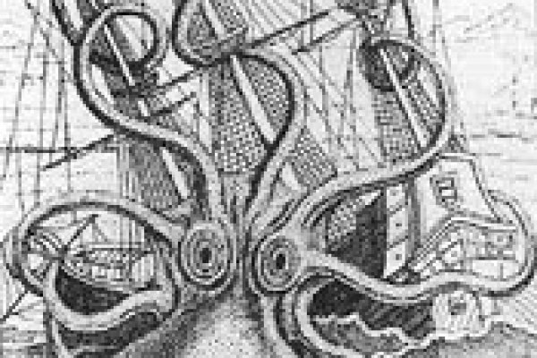 Kraken 18at