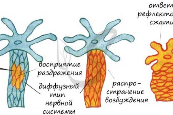 Кракен маркет супернет speed up