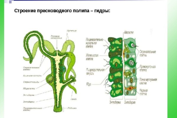 Кракен онион тор