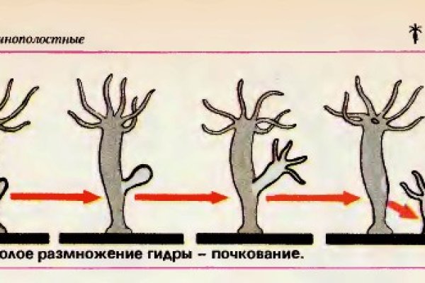 Кракен маркетплейс зеркало