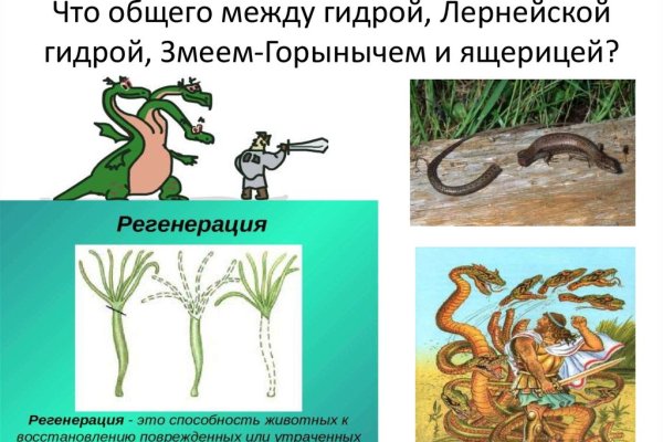 Кракен зеркало onion