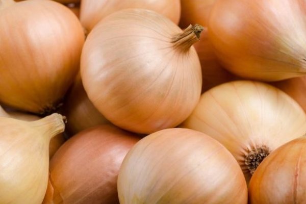 Рабочие методы kra47.cc