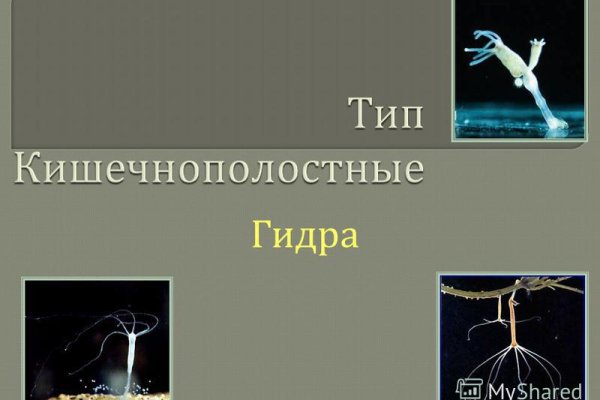 Ссылки на кракен маркетплейс