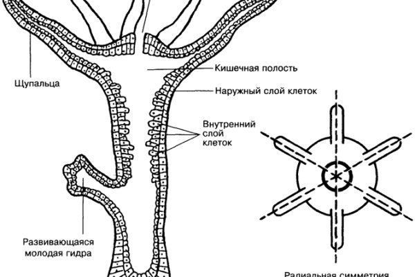 Кракен супернет рабочая