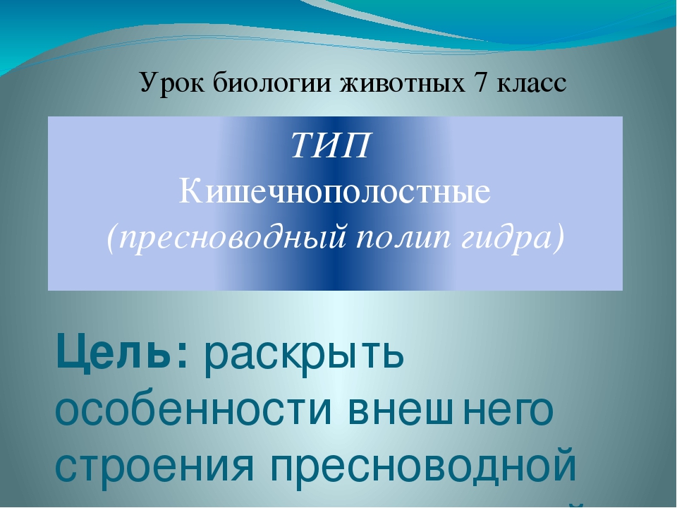 Кракен без тор