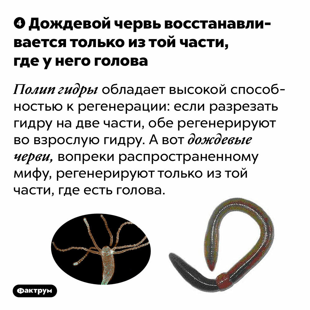 Кракен сайт пользователь не найден